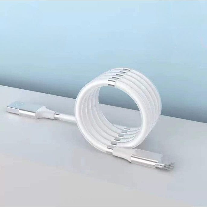 Cablu de incarcare rapida, Type C, cu absorbtie magnetica, 1 m, alb