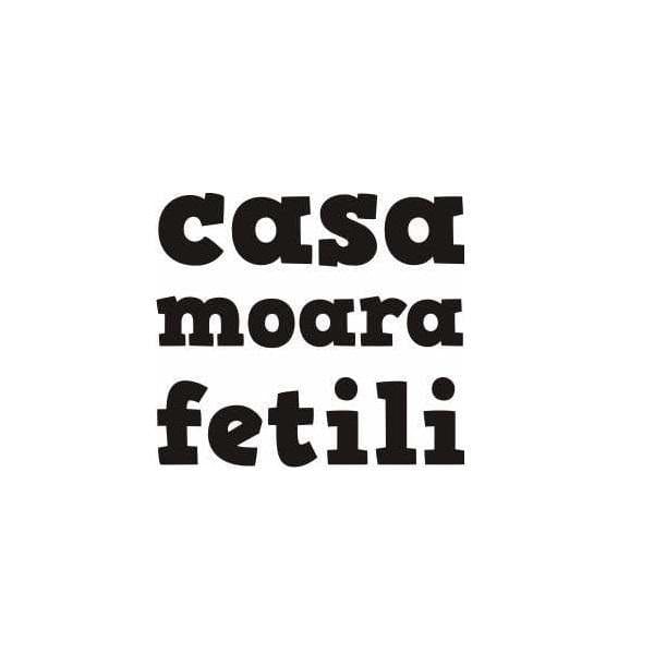 Casa Moara Fetili sticker